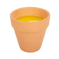 Gardener of the Year Citronella Candle