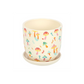 Funky Fungi Mushroom Print Plant Pot with Saucer