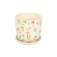 Funky Fungi Mushroom Print Plant Pot with Saucer