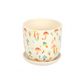 Funky Fungi Mushroom Print Plant Pot with Saucer